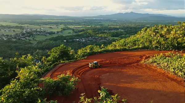 Professional land clearing and brush removal